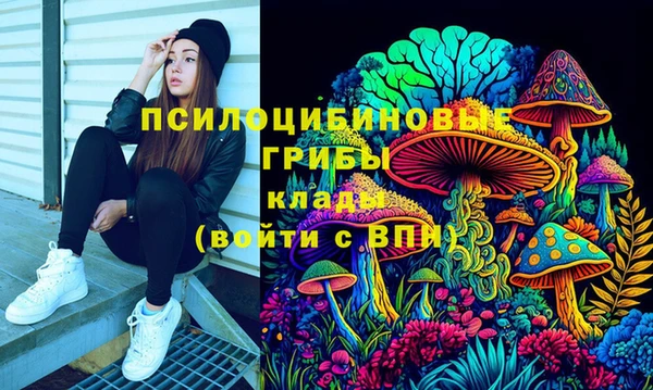 a pvp Володарск